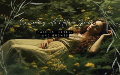 Connecting with Nature Spirits: Fairies, Elves, and Gnomes