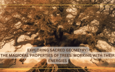 The Magickal Properties of Trees: Working with their Energies